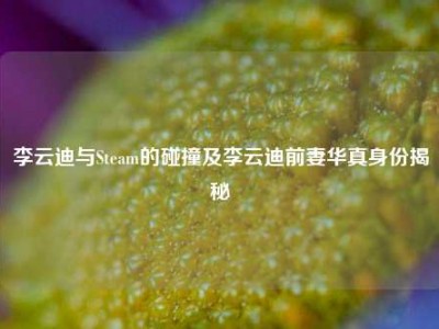 李云迪与Steam的碰撞及李云迪前妻华真身份揭秘