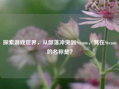 探索游戏世界，从部落冲突到Steam，其在Steam的名称是？