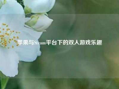 苹果与Steam平台下的双人游戏乐趣
