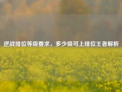 逆战排位等级要求，多少级可上排位王者解析