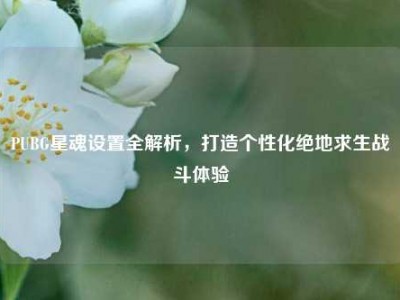 PUBG星魂设置全解析，打造个性化绝地求生战斗体验