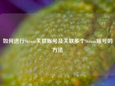 如何进行Steam关联账号及关联多个Steam账号的方法
