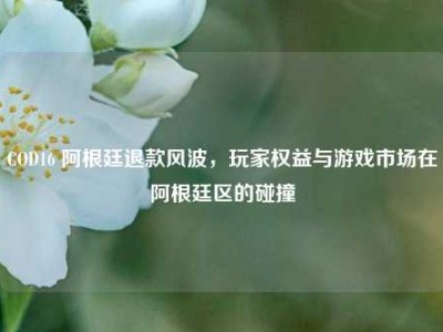 COD16 阿根廷退款风波，玩家权益与游戏市场在阿根廷区的碰撞