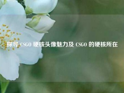 探寻 CSGO 硬核头像魅力及 CSGO 的硬核所在