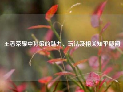 王者荣耀中孙策的魅力、玩法及相关知乎疑问