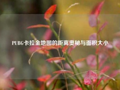PUBG卡拉金地图的距离奥秘与面积大小