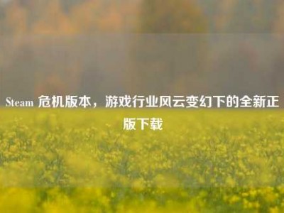 Steam 危机版本，游戏行业风云变幻下的全新正版下载