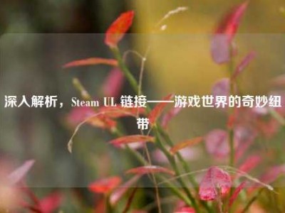 深入解析，Steam UL 链接——游戏世界的奇妙纽带