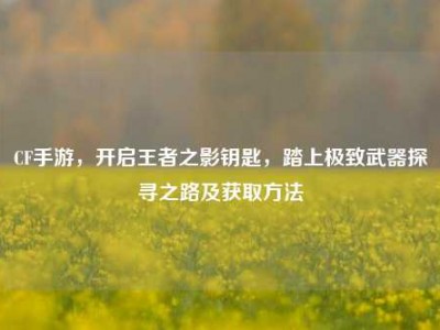 CF手游，开启王者之影钥匙，踏上极致武器探寻之路及获取方法