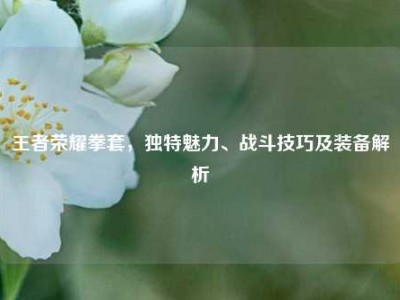 王者荣耀拳套，独特魅力、战斗技巧及装备解析