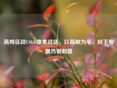 高频征战CSGO像素战场，以高帧为笔，刻下专属热爱刻度