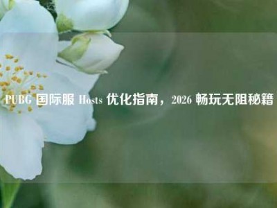 PUBG 国际服 Hosts 优化指南，2026 畅玩无阻秘籍