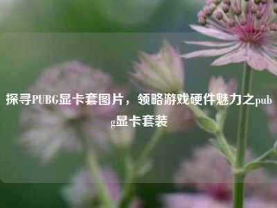 探寻PUBG显卡套图片，领略游戏硬件魅力之pubg显卡套装