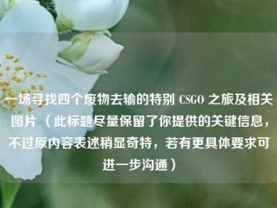 一场寻找四个废物去输的特别 CSGO 之旅及相关图片 （此标题尽量保留了你提供的关键信息，不过原内容表述稍显奇特，若有更具体要求可进一步沟通）