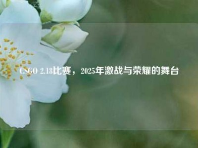 CSGO 2.18比赛，2025年激战与荣耀的舞台