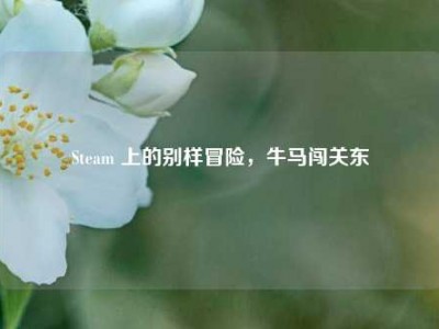 Steam 上的别样冒险，牛马闯关东