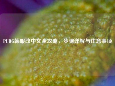 PUBG韩服改中文全攻略，步骤详解与注意事项