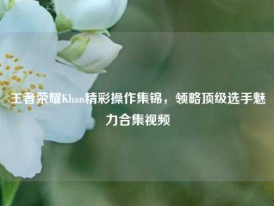 王者荣耀Khan精彩操作集锦，领略顶级选手魅力合集视频