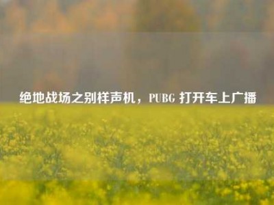 绝地战场之别样声机，PUBG 打开车上广播
