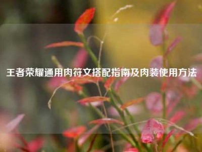 王者荣耀通用肉符文搭配指南及肉装使用方法