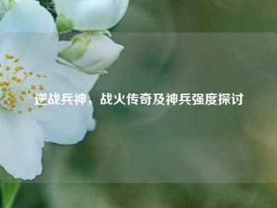 逆战兵神，战火传奇及神兵强度探讨