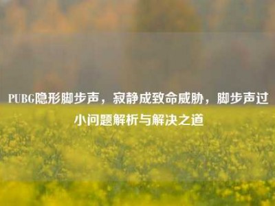 PUBG隐形脚步声，寂静成致命威胁，脚步声过小问题解析与解决之道