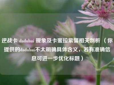 逆战卡 daduhui 现象及卡蜜拉紫誓相关剖析 （你提供的daduhui不太明确具体含义，若有准确信息可进一步优化标题）