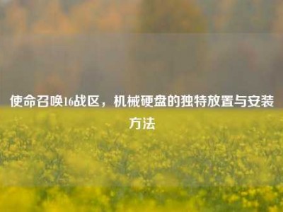 使命召唤16战区，机械硬盘的独特放置与安装方法