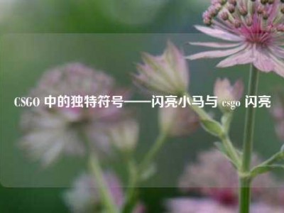 CSGO 中的独特符号——闪亮小马与 csgo 闪亮