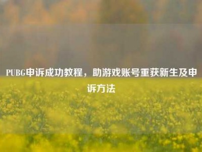 PUBG申诉成功教程，助游戏账号重获新生及申诉方法