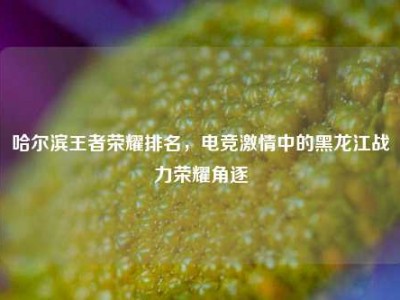 哈尔滨王者荣耀排名，电竞激情中的黑龙江战力荣耀角逐