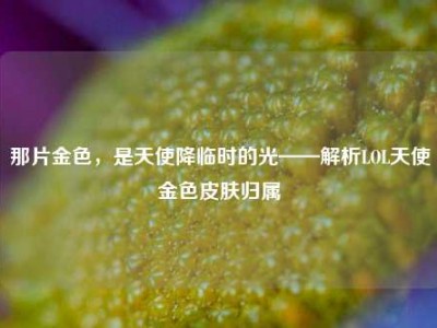 那片金色，是天使降临时的光——解析LOL天使金色皮肤归属