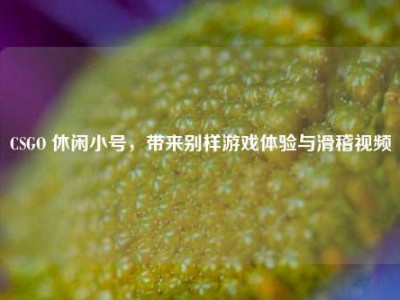 CSGO 休闲小号，带来别样游戏体验与滑稽视频