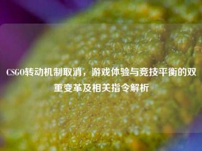 CSGO转动机制取消，游戏体验与竞技平衡的双重变革及相关指令解析