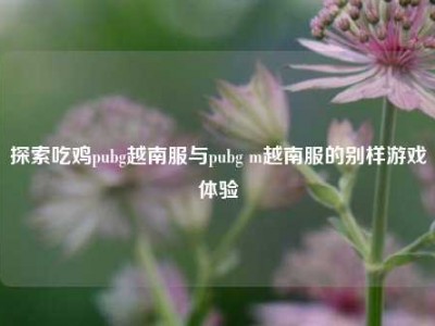 探索吃鸡pubg越南服与pubg m越南服的别样游戏体验