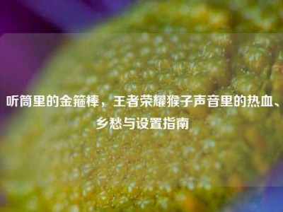 听筒里的金箍棒，王者荣耀猴子声音里的热血、乡愁与设置指南