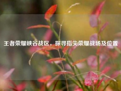 王者荣耀峡谷战区，探寻指尖荣耀战场及位置