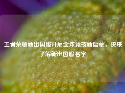 王者荣耀新出国服开启全球竞技新篇章，快来了解新出国服名字