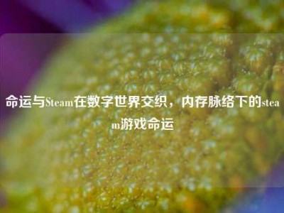 命运与Steam在数字世界交织，内存脉络下的steam游戏命运