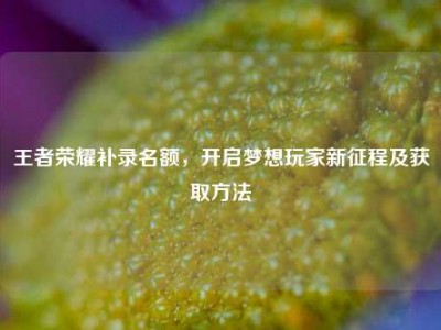 王者荣耀补录名额，开启梦想玩家新征程及获取方法