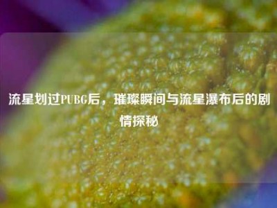 流星划过PUBG后，璀璨瞬间与流星瀑布后的剧情探秘