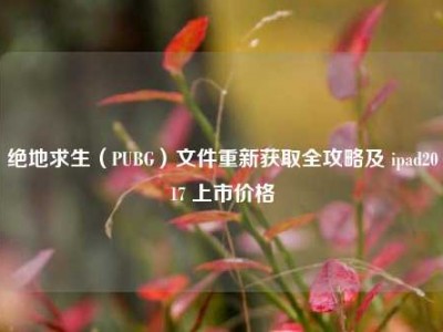 绝地求生（PUBG）文件重新获取全攻略及 ipad2017 上市价格