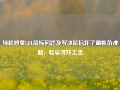 轻松修复LOL鼠标问题及解决鼠标坏了调视角难题，畅享游戏无阻