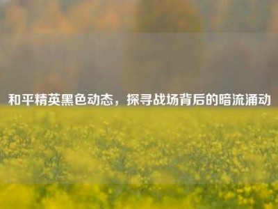 和平精英黑色动态，探寻战场背后的暗流涌动