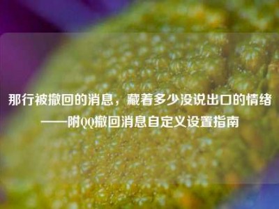 那行被撤回的消息，藏着多少没说出口的情绪——附QQ撤回消息自定义设置指南