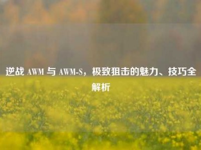 逆战 AWM 与 AWM-S，极致狙击的魅力、技巧全解析