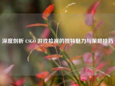 深度剖析 CSGO 游戏检视的独特魅力与策略技巧