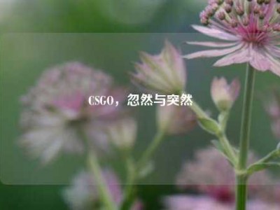 CSGO，忽然与突然