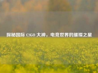 探秘国际 CSGO 大神，电竞世界的璀璨之星
