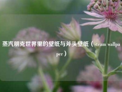 蒸汽朋克世界里的壁纸与斧头壁纸（steam wallpaper）